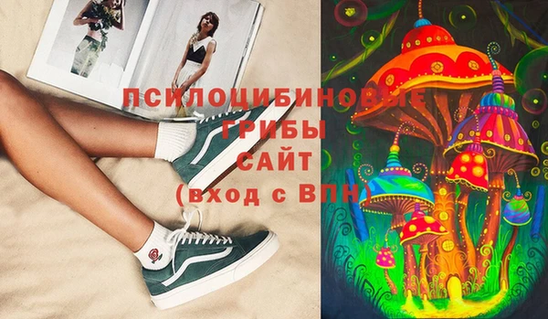 PSILOCYBIN Заволжск
