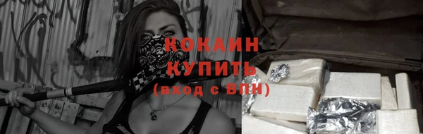 PSILOCYBIN Заволжск