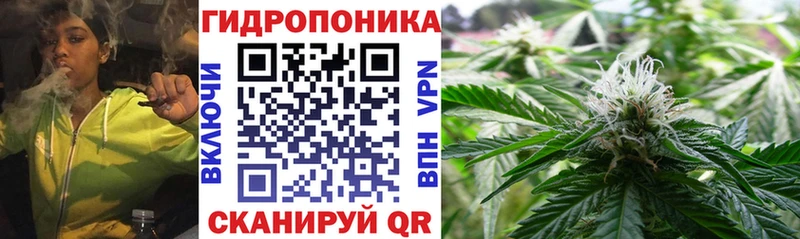 Купить  Сосновый Бор  Конопля индика 